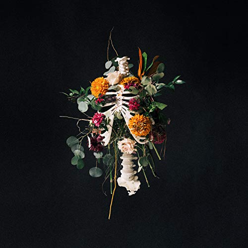 Human skeleton adorned with colorful flowers against a dark background.