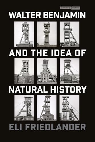 Book cover: "Walter Benjamin and the Idea of Natural History" with mine towers.