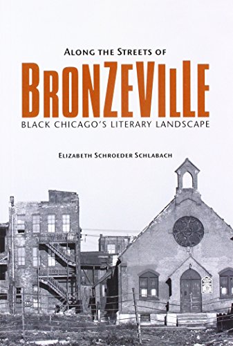 Book cover with “Bronzeville” title over a grayscale cityscape.