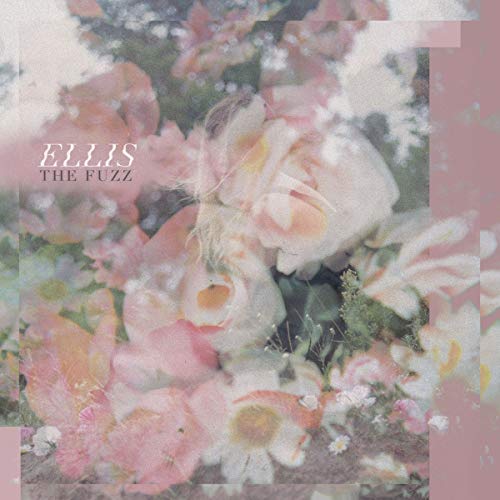 A vinyl record cover with a faded floral arrangement and "Ellis - The Fuzz" text.