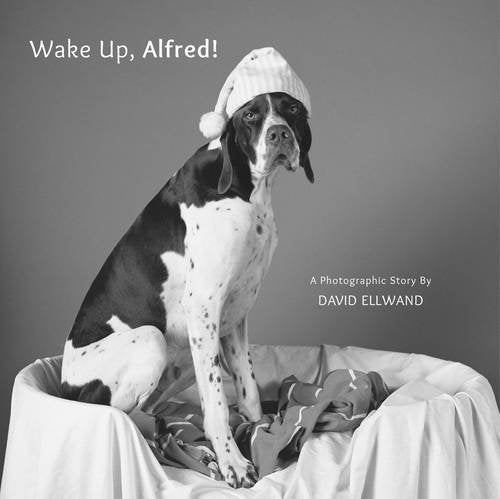 A black and white photo of a spotted dog wearing a nightcap in a basket.