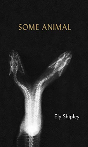 Book cover featuring an x-ray image of two animal skulls and spines.