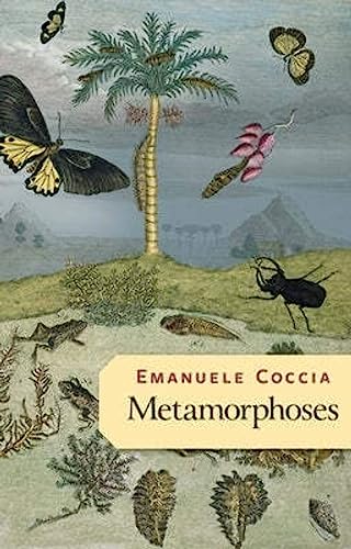 Book cover illustration featuring butterflies, a palm tree, insects, and plants on a landscape.