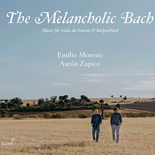 "CD cover with two men walking in a field, blue sky and trees in background."