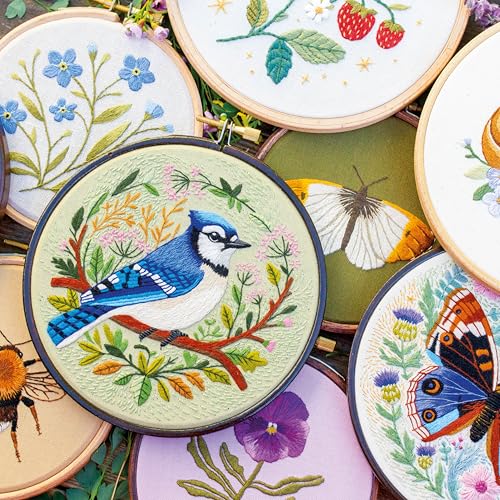 Several embroidery hoops featuring colorful nature designs including a blue jay, butterflies, and flowers.