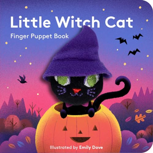 Black cat wearing a witch hat sits on a jack-o'-lantern.