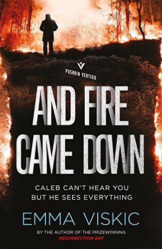 Book cover: fiery landscape with a lone figure, bold title “And Fire Came Down”.