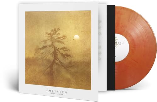 Vinyl record and case with a golden, misty landscape illustration.