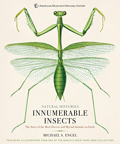 Book cover featuring a detailed illustration of a green praying mantis.