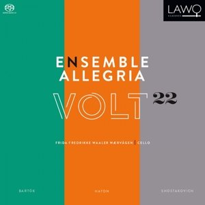 "Album cover with green, orange, and grey panels, featuring 'Ensemble Allegria Volt 22' text."