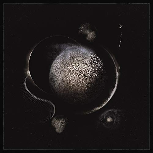 Dark album cover with a textured, spherical shape and swirling details.
