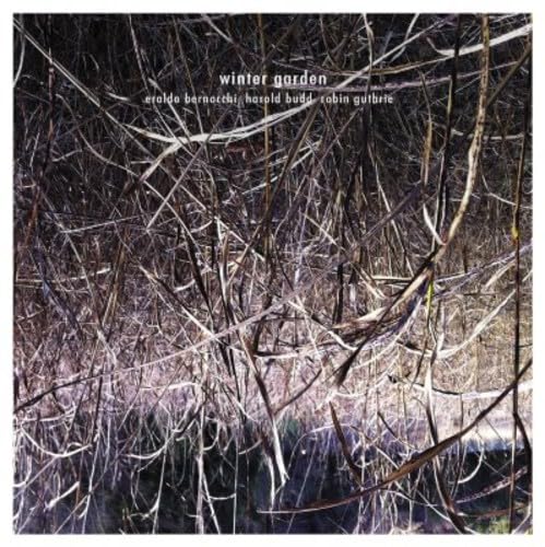 CD cover for “Winter Garden” featuring a dark, abstract image of branches.