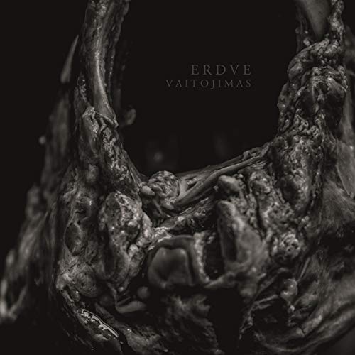 Album cover for Erdve - Vaitojimas, featuring textured, dark tree roots.