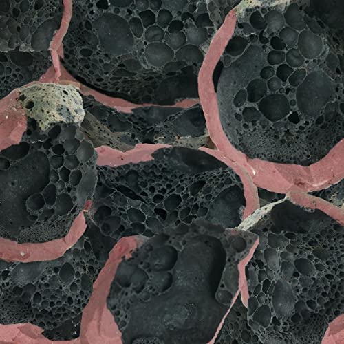 CD cover with a close-up, abstract image of black and pink textures.