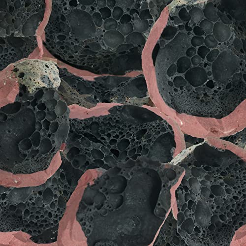 Close-up of porous black volcanic rock fragments with reddish-pink edges.