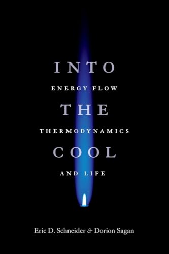 Book cover: black background with blue flame and white text.