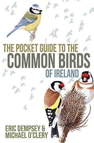 Book cover featuring illustrated Irish birds, including a great tit and goldfinch.