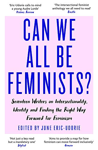 Book cover with bold blue text: “Can We All Be Feminists?” on a pink background.