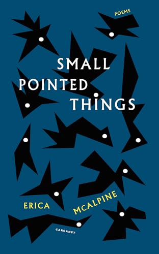 Book cover: dark blue with white text and black pointed shapes.