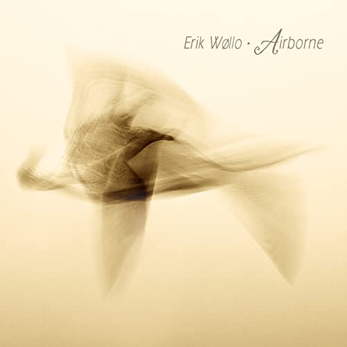 CD cover: abstract, blurred image resembling a bird in flight.
