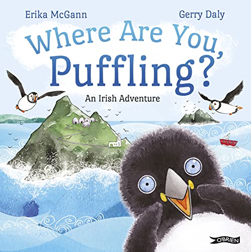 Book cover featuring a puffin chick searching near an Irish coastal landscape.