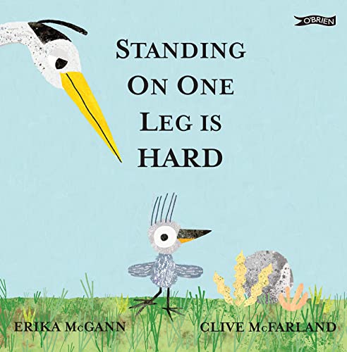 Book cover: a bird struggling to stand on one leg in grass.