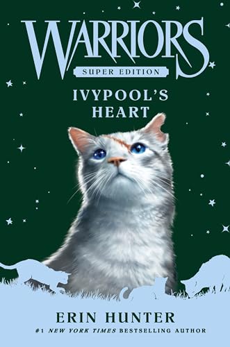 Book cover featuring a grey cat with blue eyes against a dark starry background.
