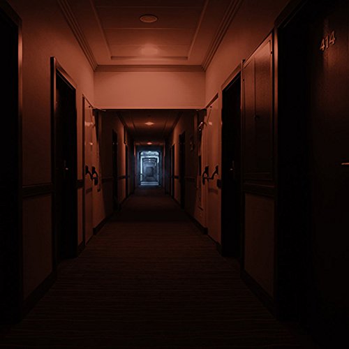"Dimly lit hotel corridor with numbered doors, fading into darkness towards the center."