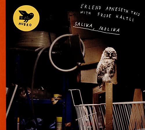 CD cover featuring an owl perched amongst industrial equipment.