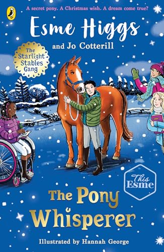Book cover: boy with a chestnut pony in a snowy landscape.