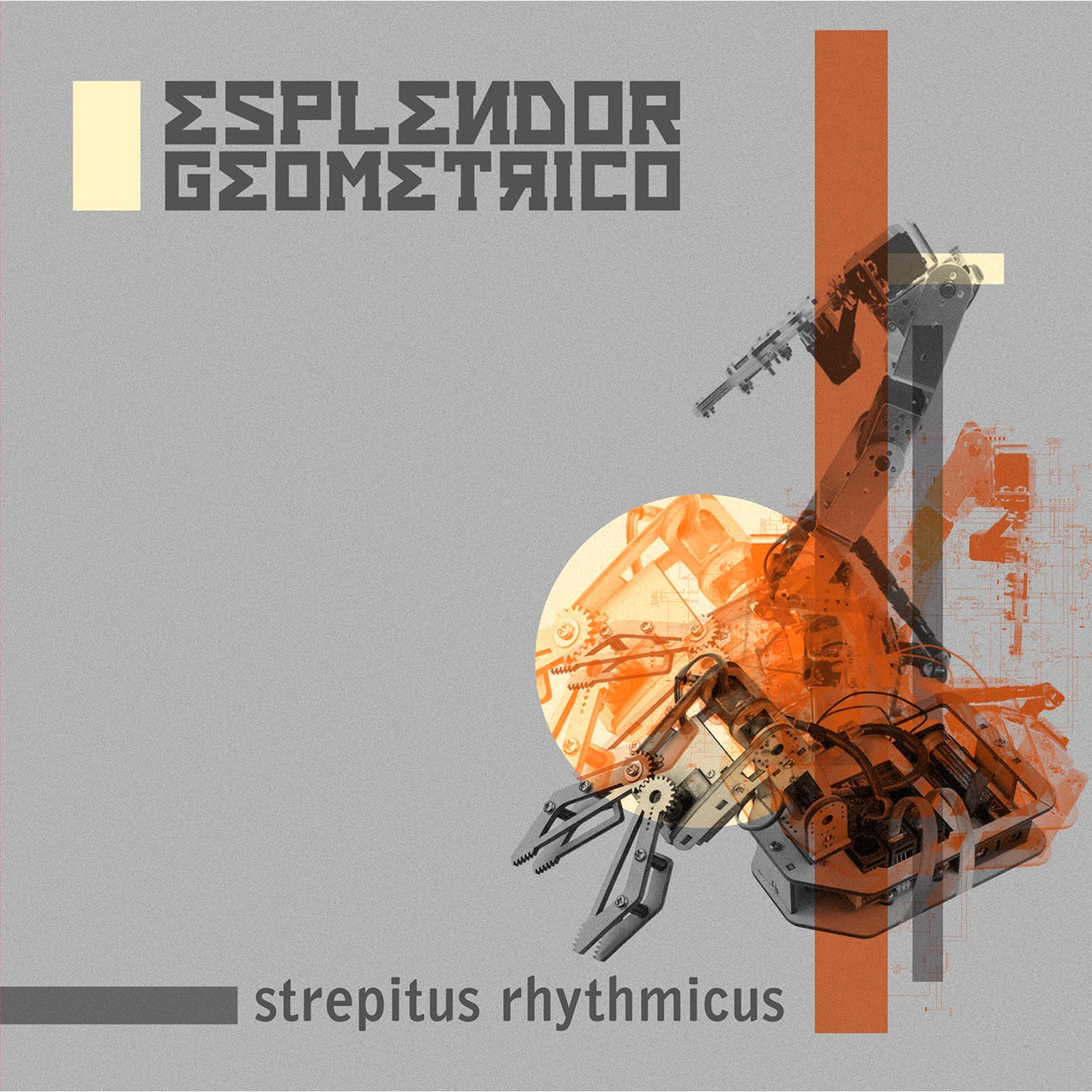 Vinyl album cover: geometric design with robotic insect illustration.