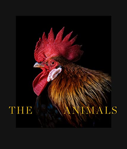 Book cover depicting various animals, likely illustrated, with title "The Animals".