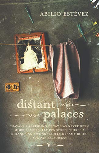 Book cover: "Distant Palaces" with a framed photo and draped fabric.