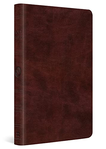 Closed, dark brown leather-bound Bible with gold edges and spine detail.