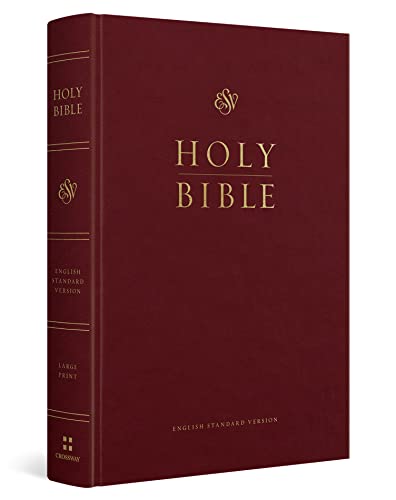 Dark red hardcover Bible with gold lettering, “HOLY BIBLE” on the cover.