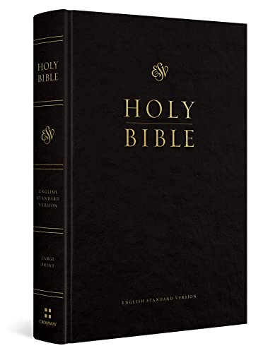 Black leather-bound Bible with gold lettering, “HOLY BIBLE” on the cover.