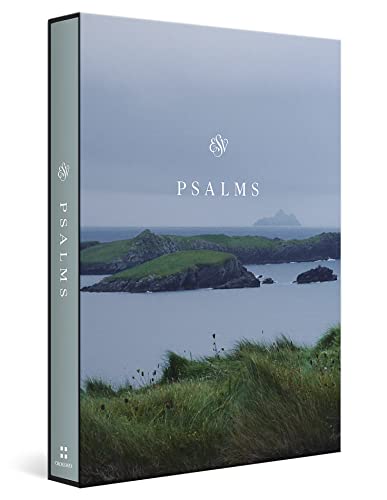 Book cover featuring a coastal landscape with green islands in a calm, grey sea.