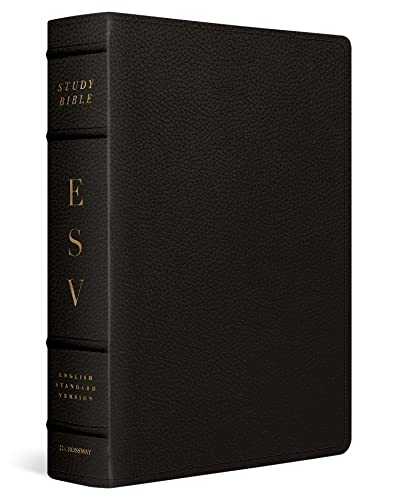 Black leather-bound ESV Study Bible, gold lettering, with a three-piece spine.