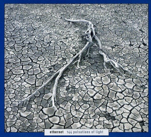 Album cover with a dry, cracked earth and a dead root, dark blue border.