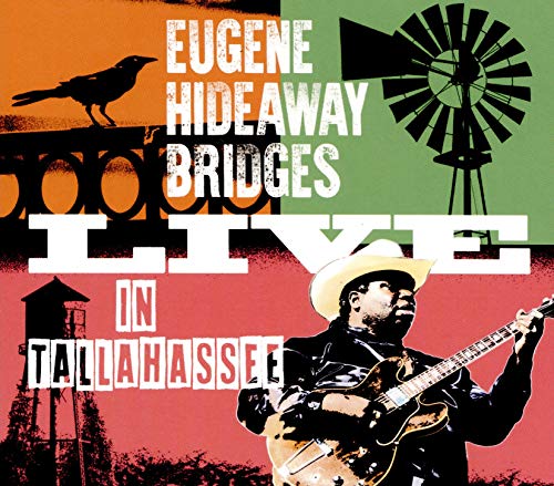 Eugene Hideaway Bridges playing guitar with a windmill and bird on a colorful background.