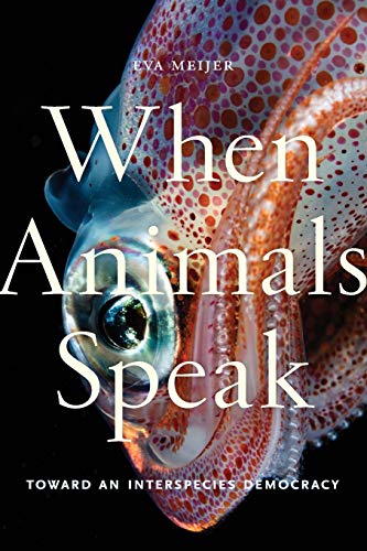 Book cover featuring a close-up of a colorful cuttlefish and white text.