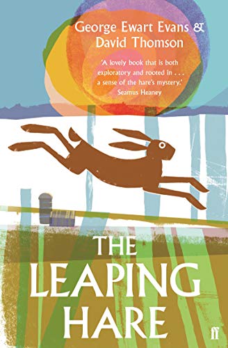 Book cover: a brown hare leaping across a field, with colorful abstract shapes.