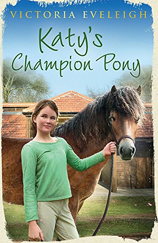 Book cover: girl with a brown pony in front of a barn.