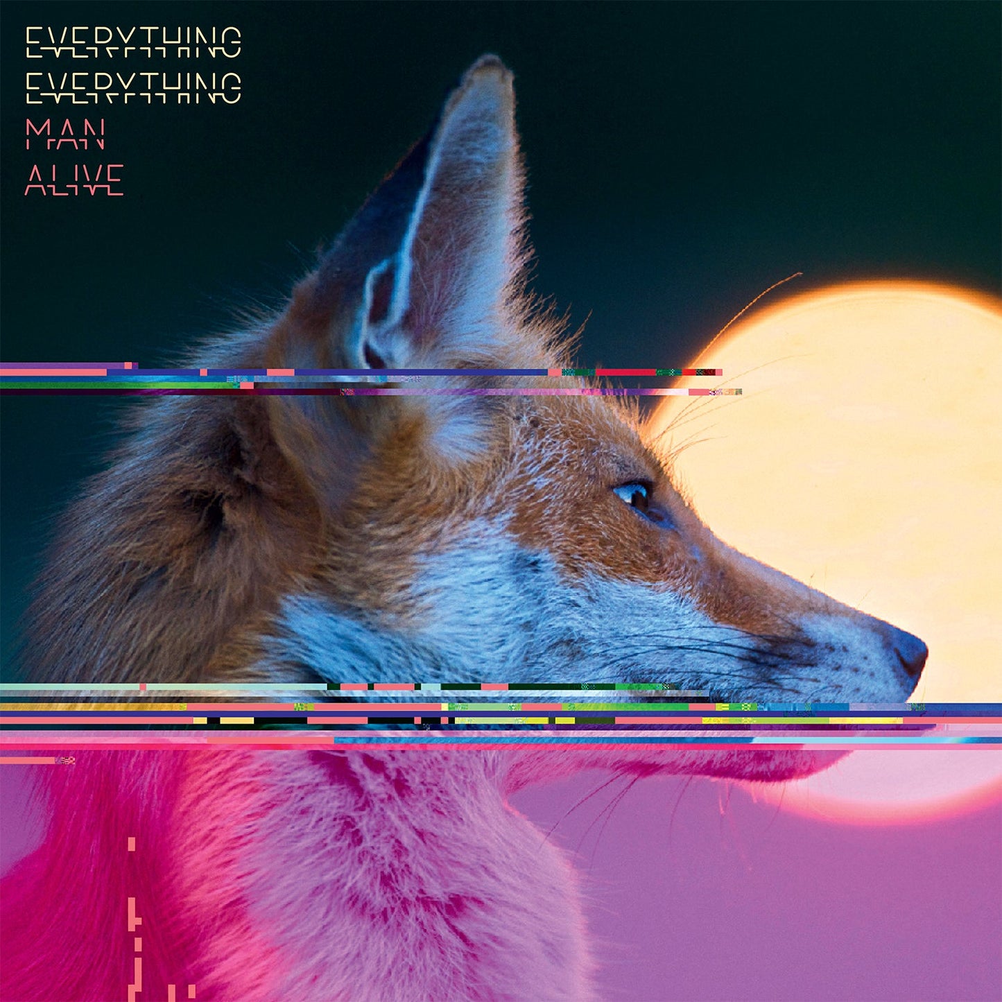 Album cover featuring a close-up of a fox with glitching colorful lines.
