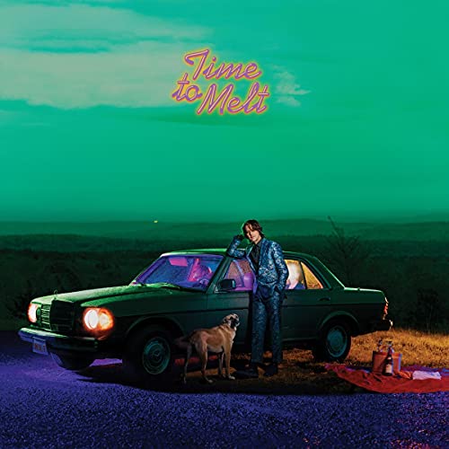 A man in a patterned suit stands by a car with a dog outdoors.