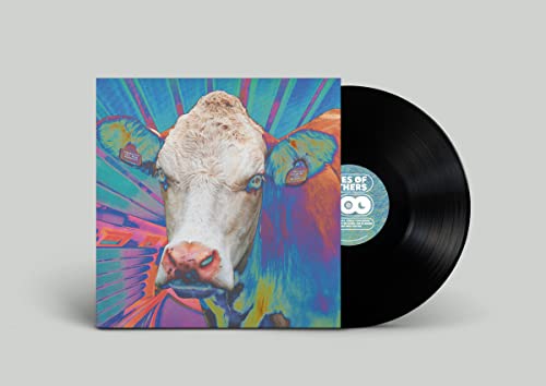 Vinyl record with album art featuring a cow against a colorful, abstract background.