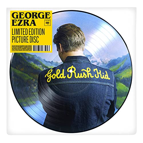 George Ezra album cover: man’s back on a scenic picture disc vinyl.