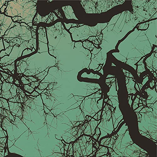 Silhouetted tree branches against a teal and pale orange sky.