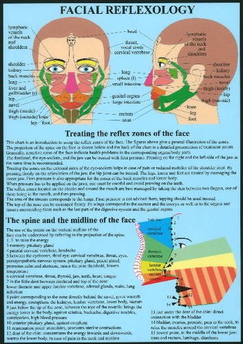 Educational chart showing facial reflexology zones with anatomical diagrams and explanatory text.