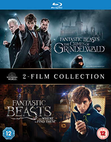 "Blu-ray cover featuring characters from 'Fantastic Beasts' films, with wands and dark backgrounds."